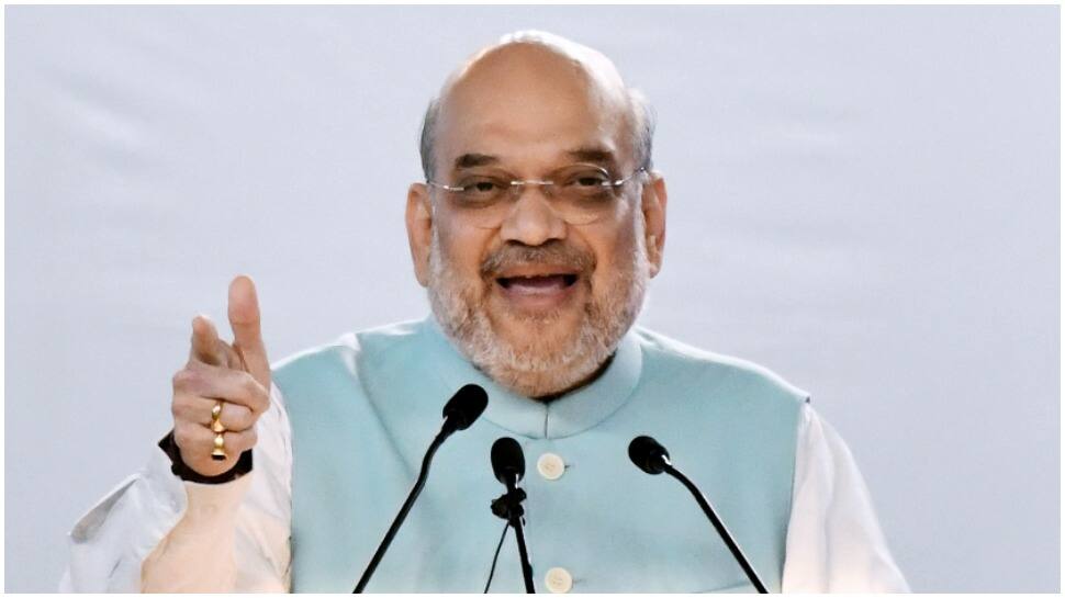 Amit Shah calls PM Modi &#039;sensitive leader&#039; after Centre reduces fuel prices