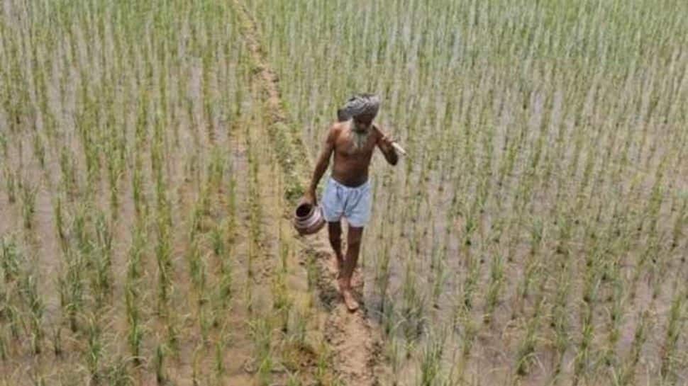 Centre promises Rs 1.10 lakh crore in subsidy to protect farmers from fertiliser price hike