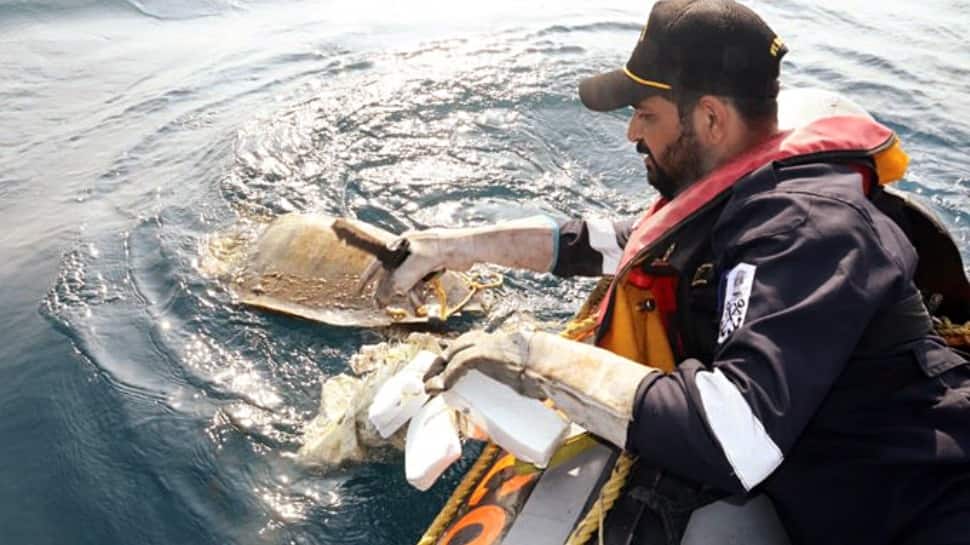 World Turtle Day 2022: UP govt releases nearly 300 endangered turtles into Chambal river thumbnail