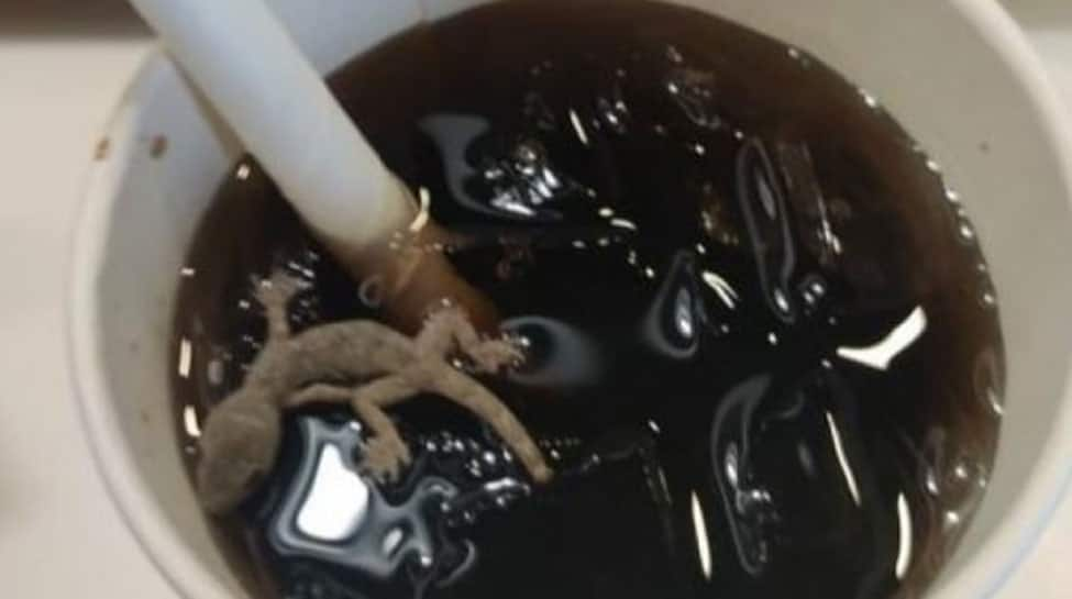 SHOCKING! McDonald&#039;s Ahmedabad outlet sealed after dead Lizard found in cold drink --Watch