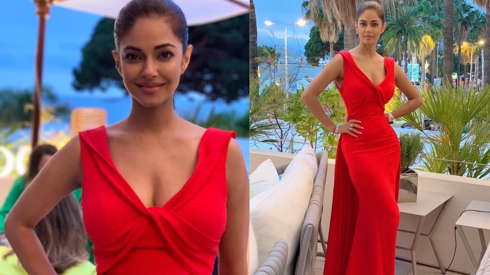 Meera Chopra debuts at Cannes 2022, attends Better World Fund event