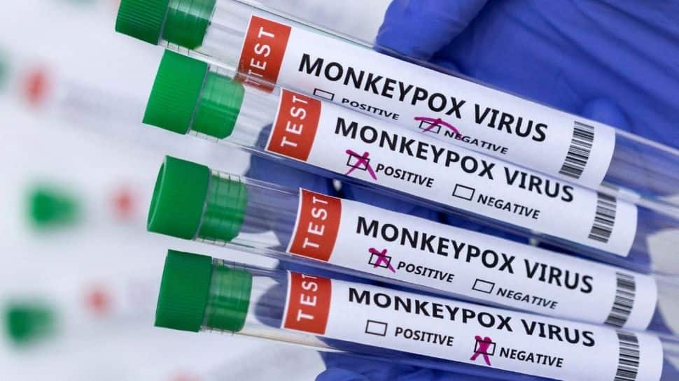 'No evidence of monkeypox virus in the body of anyone in India yet'