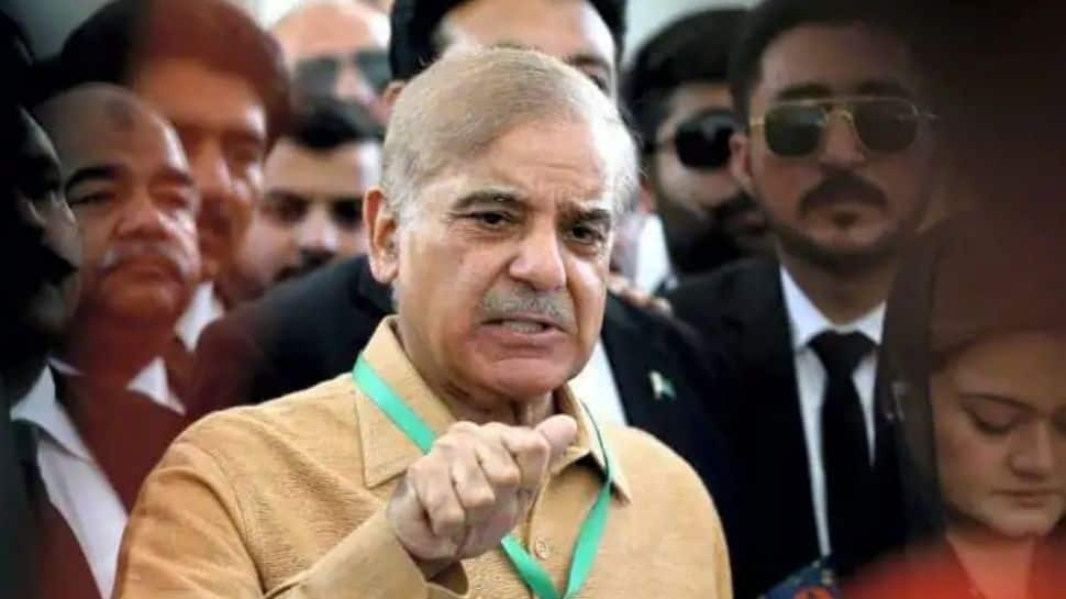 Pak PM Shehbaz Sharif blames Imran Khan for Pakistan&#039;s economic woes in first public address