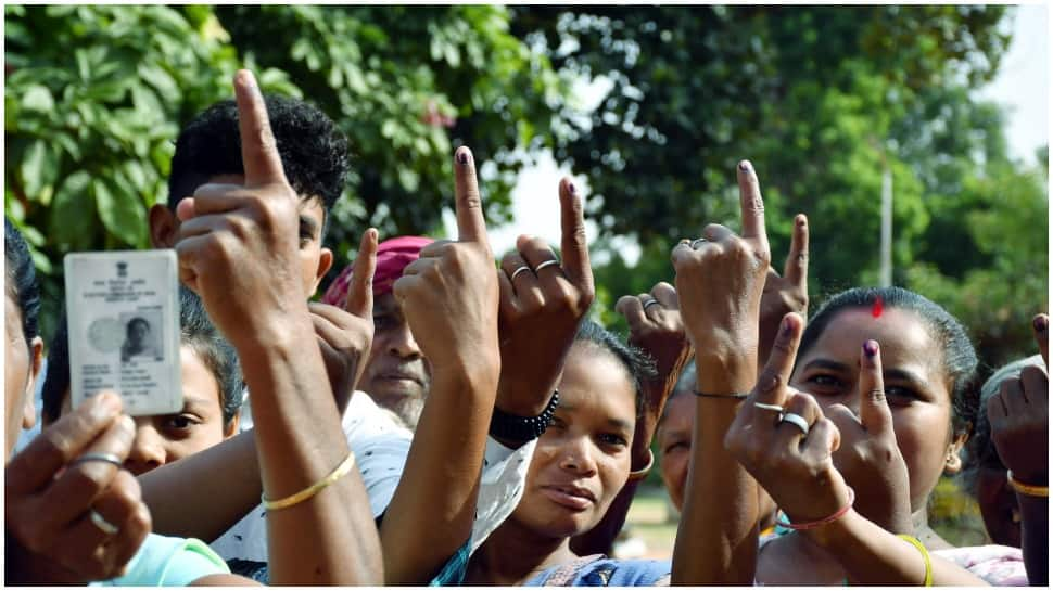 Madhya Pradesh panchayat polls: Three-tier elections to be held in three phases from June 25