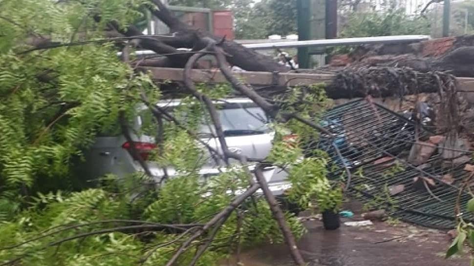 Two dead, trees uprooted, buildings damaged as heavy rains, strong winds batter Delhi