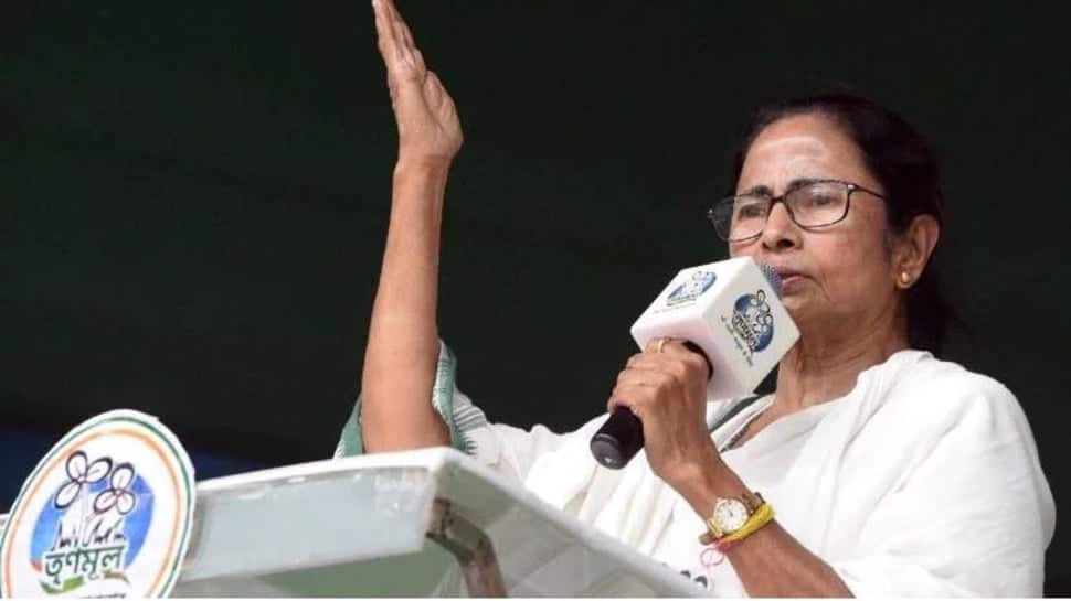 &#039;If they had been members of my party, I would have slapped 4 times&#039;, says Mamata Banerjee