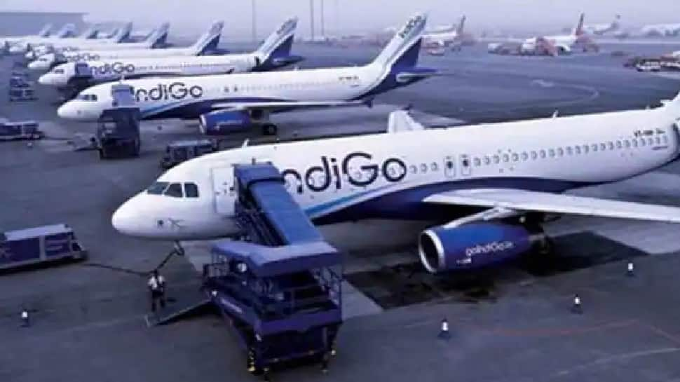 After mishandling incident of specially-abled passenger, IndiGo CEO promises to conduct internal study