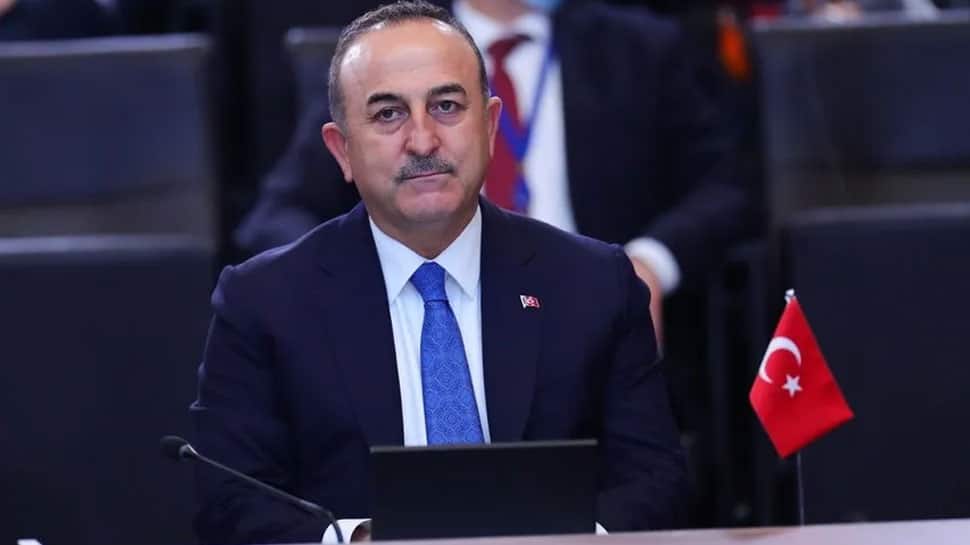 L’ONU approuve la demande de la Turquie de changer son nom officiel en « Turkiye » |  Nouvelles du monde
