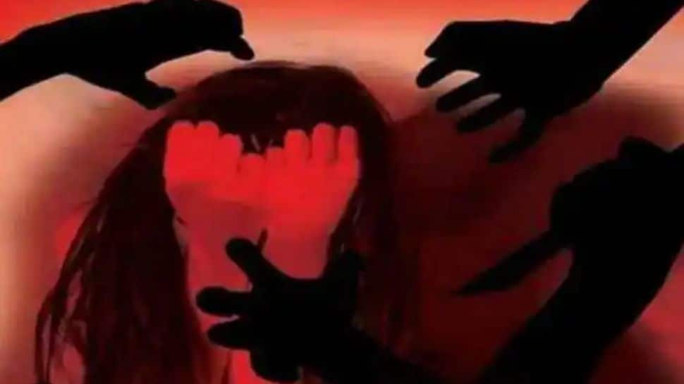 BJP workers stage protests over Hyderabad gang-rape case involving minor girl