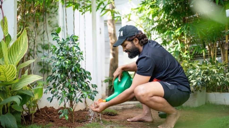 World Environment Day: Check out photo of Allu Arjun watering plants