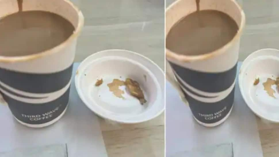 Man orders coffee from Zomato, gets angry after seeing chicken piece in it