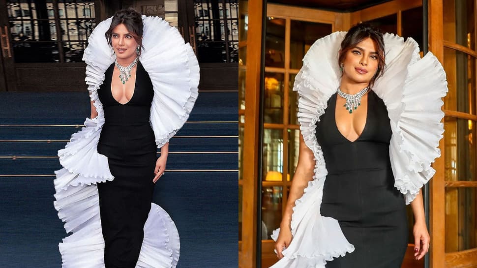 Priyanka Chopra looks jaw-dropping in a black and white dove gown