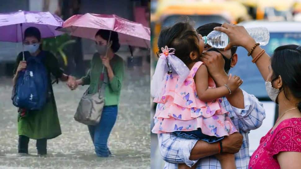 Weather update: Heatwave in northwest India to continue, Southwest monsoon arrives in Maharashtra - Check IMD’s full forecast here