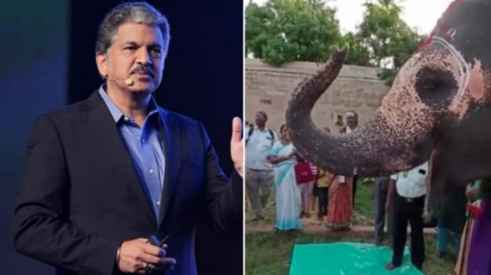 Anand Mahindra shares cute video of elephant&#039;s birthday, internet reacts