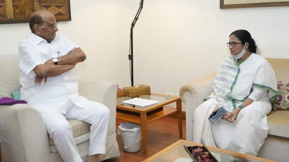 Mamata Banerjee meets Sharad Pawar ahead of key opposition meet on presidential poll