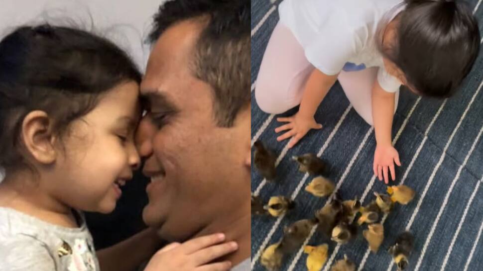 WATCH: After goats, MS Dhoni brings home ducks and daughter Ziva can&#039;t stop playing with them