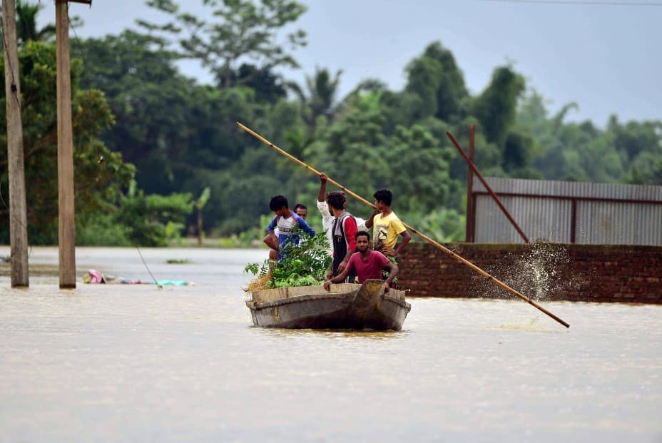 More than 66,455 hectares of crop area inundated