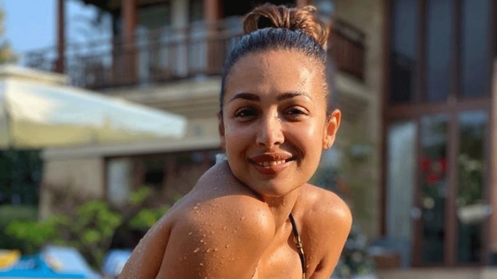 Malaika Arora shows off her sexy back in animal-print bikini, sizzles in  middle of water: PIC | People News | Zee News
