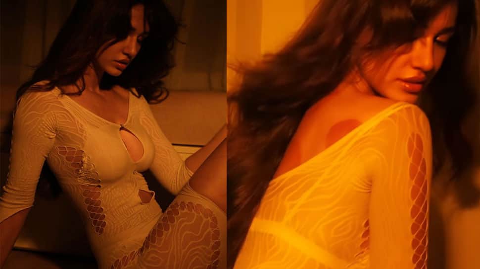 Dishapatani Xxxxvideo - Disha Patani teases hot and sensual video, boyfriend Tiger Shroff's sister  Kishu Shroff says 'Stop'! Watch | People News | Zee News