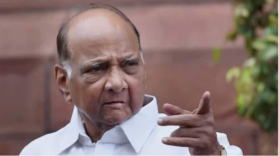 &#039;Are you sleeping! Why there...&#039;, Sharad Pawar slams THIS minister over Maharashtra political crisis