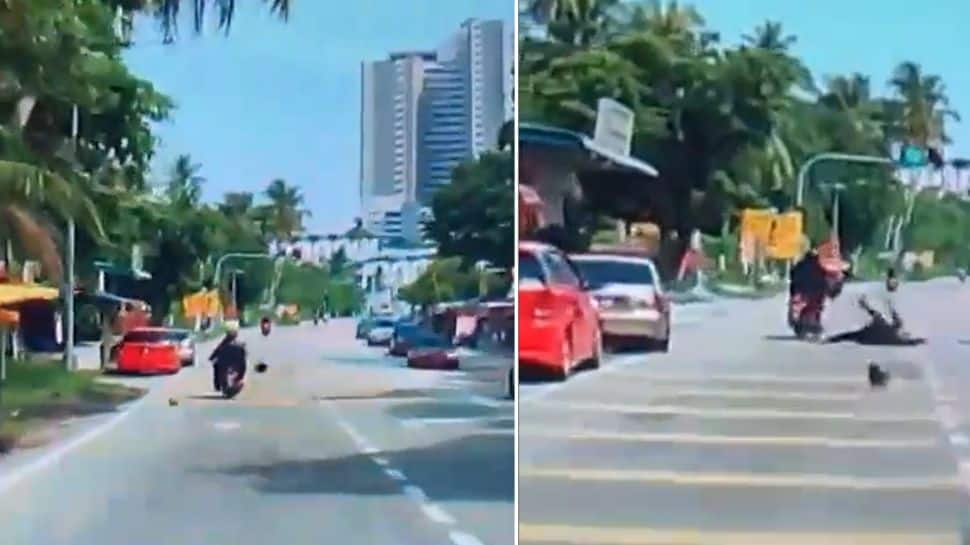 Woman riding scooter gets hit by coconut falling off a tree: Watch Video