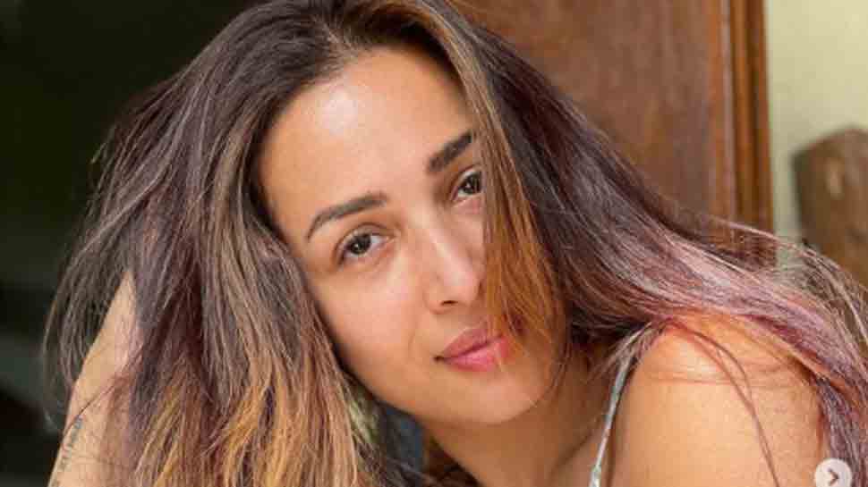 Malaika Arora shares adorable picture of pet pooch &#039;Casper&#039;, asks &#039;when did he get this big&#039;