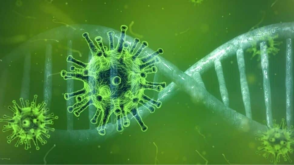 Impact de Covid-19 : la réponse immunitaire déclenchée par une infection peut endommager le cerveau, selon un rapport |  Nouvelles du monde