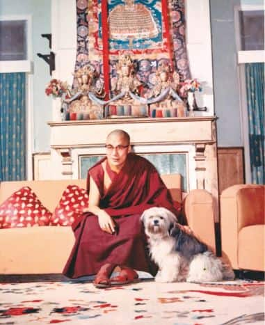 His Holiness: Love for dogs