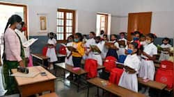 NCERT omits crucial environment lessons in revised syllabus, teachers respond