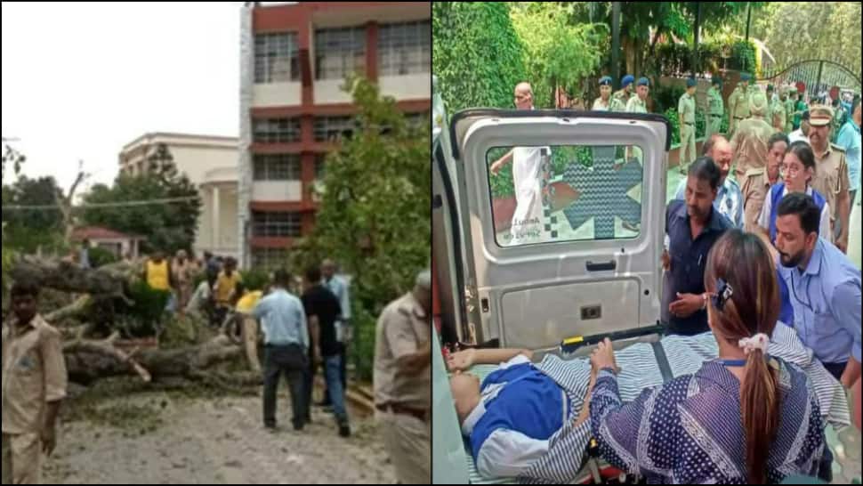 Student dies, several injured after old tree falls in Chandigarh’s school