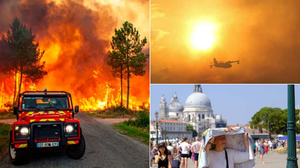 Ondata di caldo in Europa: dichiarata emergenza nazionale nel Regno Unito;  Gli incendi boschivi devastano Francia e Italia |  Notizia
