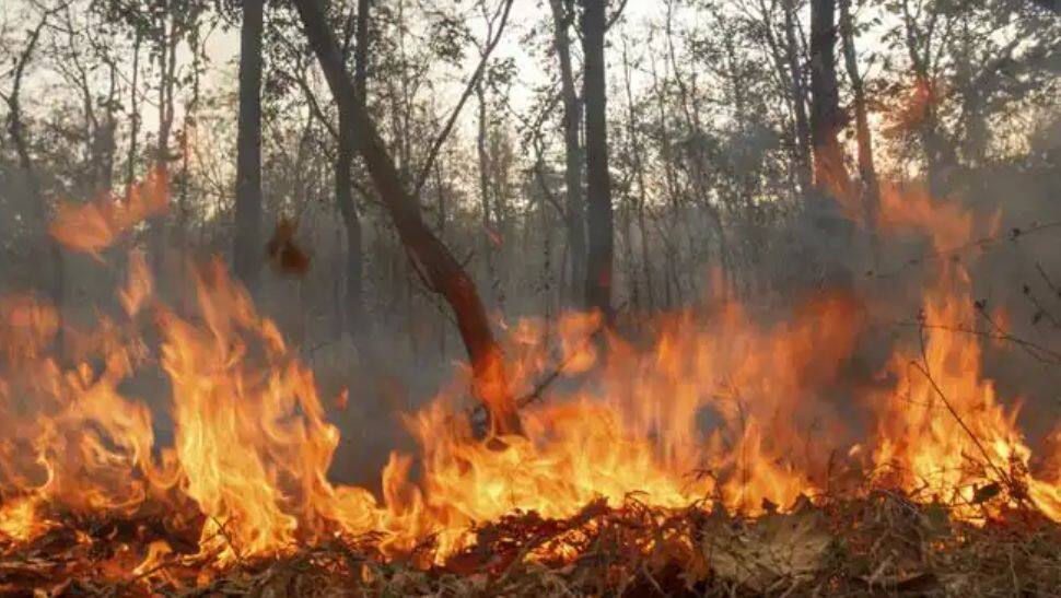 Wildfires stretching across Spain as heatwave continues