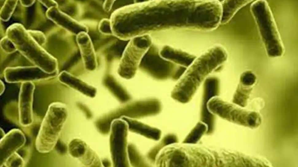 Odisha: Cholera outbreak kills 7 in Rayagada district, several infected; 2 other districts on alert