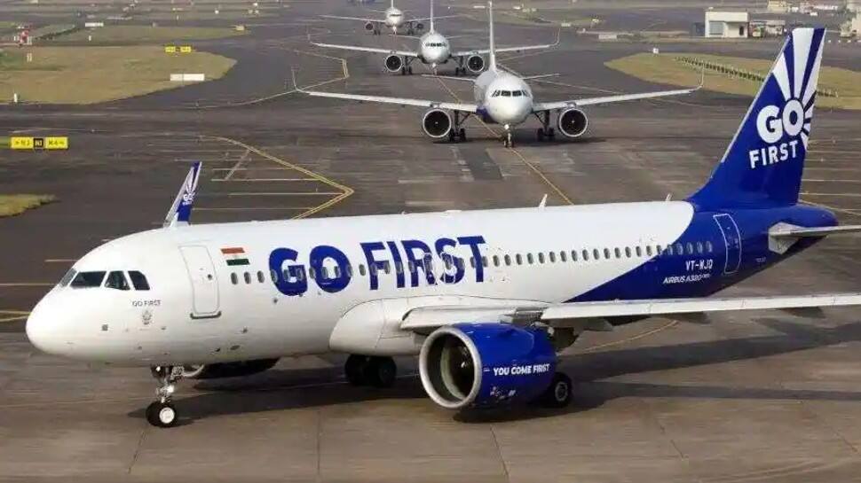 Dog on runway stops Go First Leh-Delhi flight from takeoff, DGCA calls it ‘routine’ incident