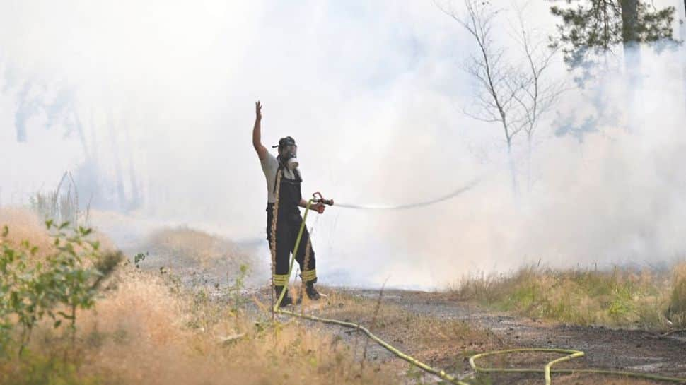 Why forest fires in Europe are more intense than previously seen