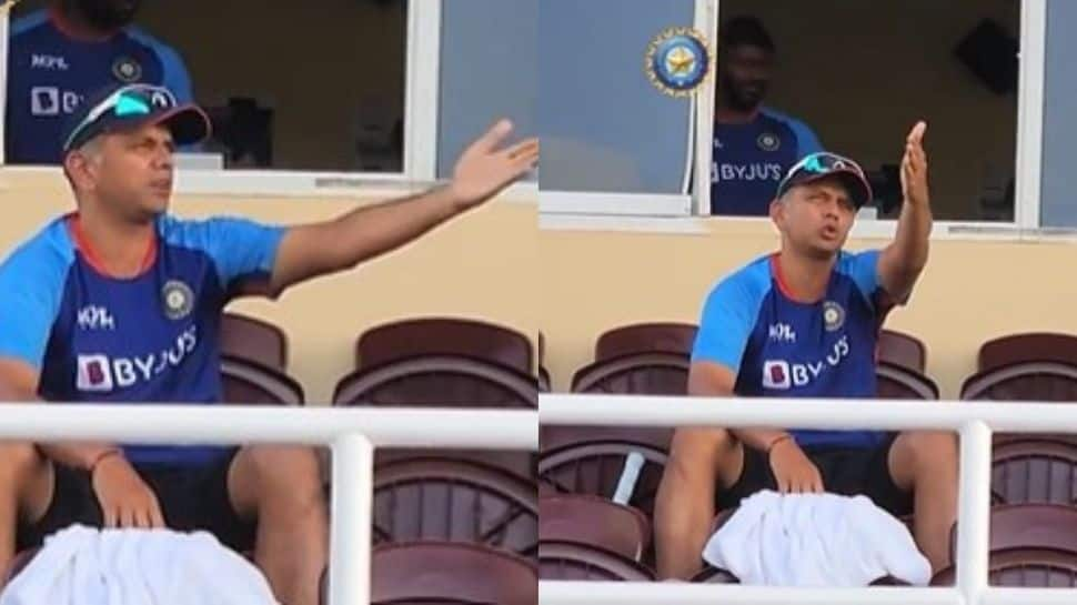 Rahul Dravid loses cool briefly in 1st IND vs WI ODI, BCCI shares video of coach&#039;s reaction during last-ball finish - Watch