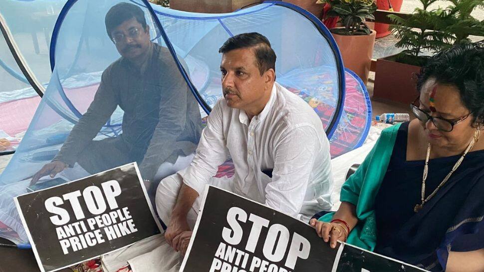 Armed with mosquito nets, Opposition MPs continue dharna outside Parliament