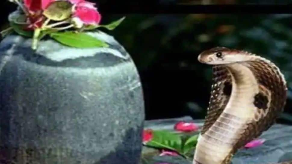 Nag Panchami 2022: History, significance and greetings for your loved ones