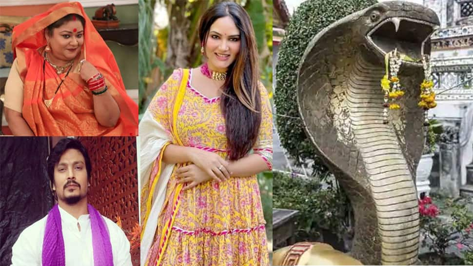 Nag Panchami 2022 significance: How these TV actors celebrate the festival!