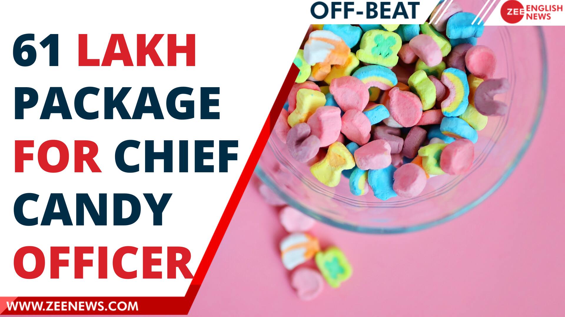 This Canadian company is giving you 61 lakh per year to their chief candy taster Zee