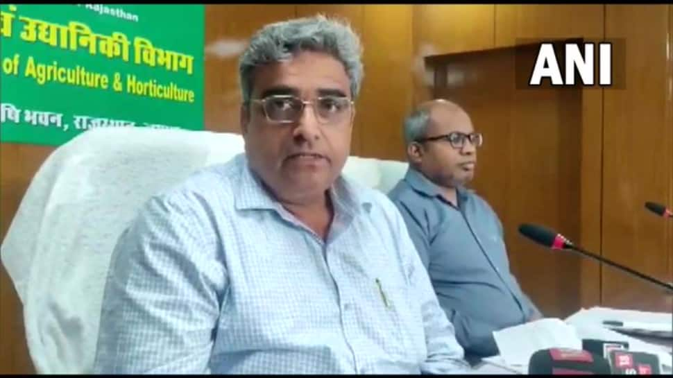 Lumpy Skin Virus Disease: Rajasthan Minister L Kataria reviews the situation