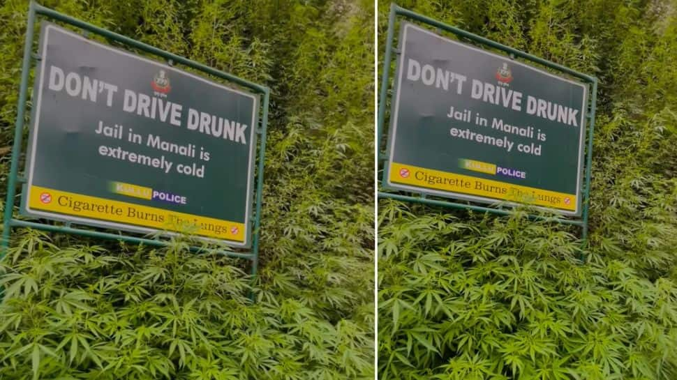 Kullu Police uses witty warning signboard against ‘drink and drive’, netizens are going ROFL- Watch video