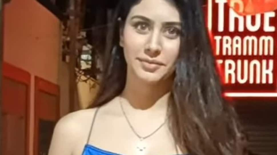 Warina Hussain grabs limelight in mini-backless blue satin dress: Video