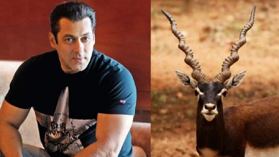 Bishnoi Community to build memorial honouring blackbuck killed by Salman Khan!