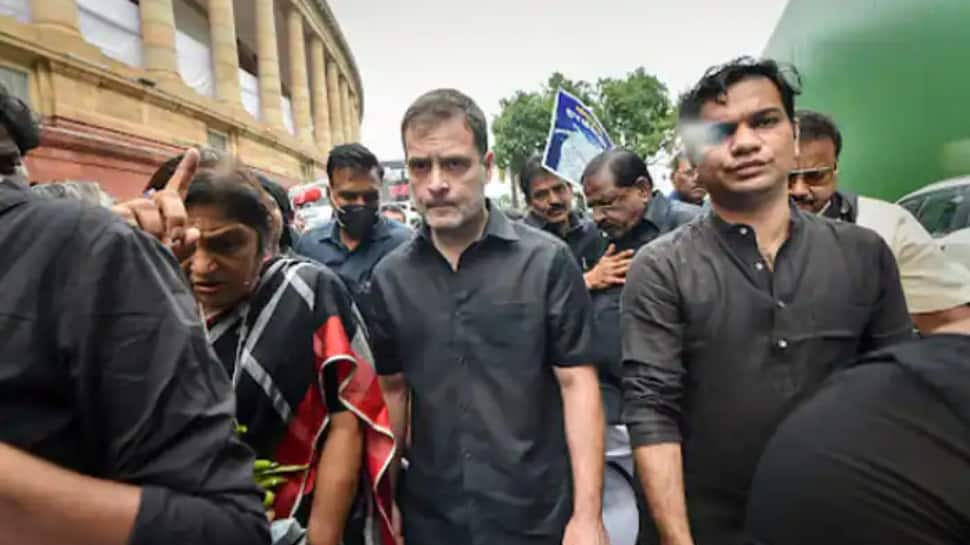 Congress' price rise rally: Party leadership to meet to discuss strategy