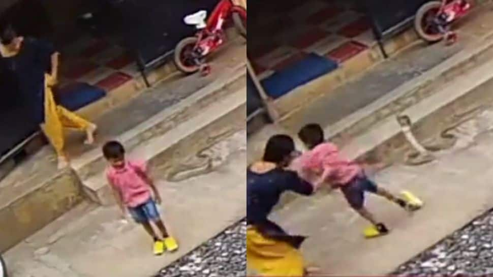 Woman&#039;s BRAVERY saves her son from huge snake outside their home - Watch viral video