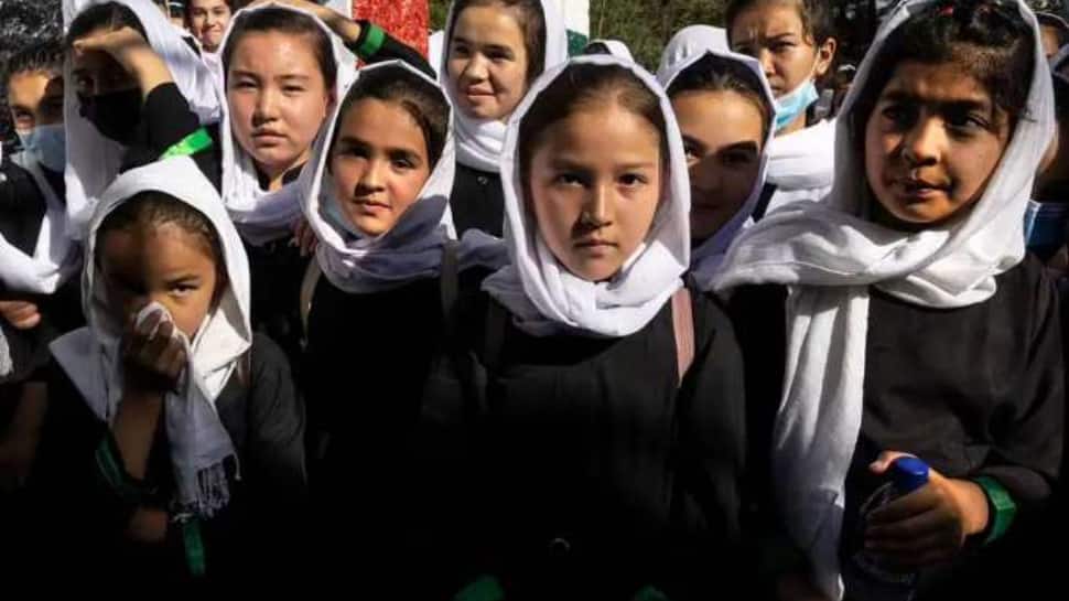 L’économie afghane coûte 500 millions de dollars pour priver les filles de l’enseignement secondaire, selon l’UNICEF |  Nouvelles du monde