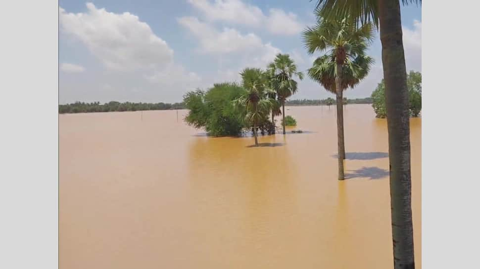 Odisha Floods: Over 1.5 lakh people affected; heavy rainfall may worsen situation