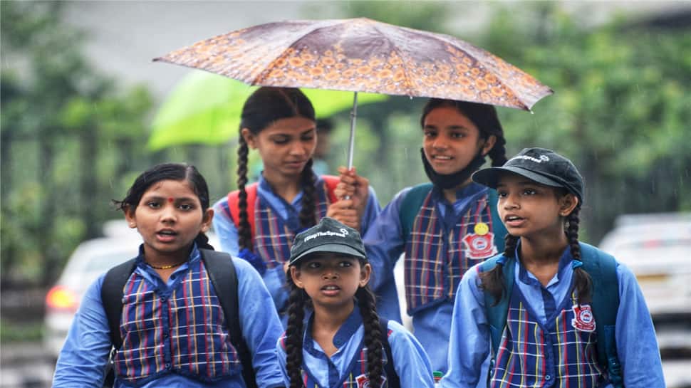 Schools to remain shut due to incessant rain in Himachal Pradesh's Mandi - Vimarsana News