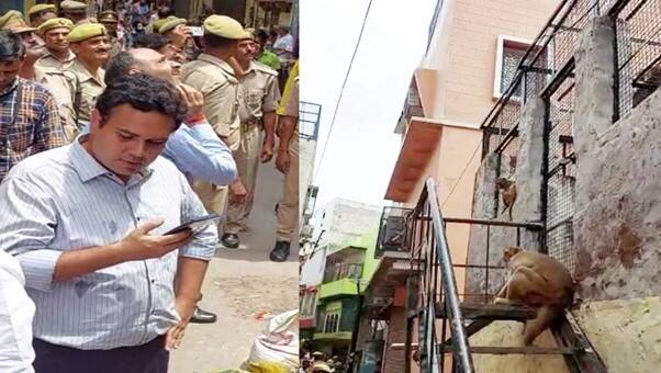 Monkey snatches Mathura DM Navneet Chahal&#039;s Spectacles... WATCH big drama that followed